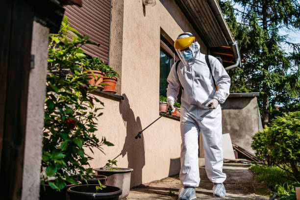Best Pest Removal Services  in Capitan, NM