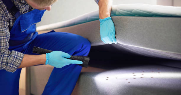 Reliable Capitan, NM Pest Control Solutions